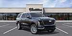 New 2026 CADILLAC ESCALADE ESV LUXURY in LAKE WALES, FLORIDA