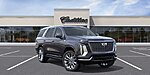 New 2026 CADILLAC ESCALADE PLATINUM LUXURY in LAKE WALES, FLORIDA