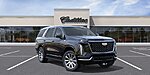 New 2026 CADILLAC ESCALADE BASE in LAKE WALES, FLORIDA