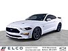 Used 2019 FORD MUSTANG GT PREMIUM in BALLWIN, MISSOURI