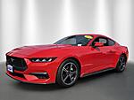 Used 2024 FORD MUSTANG ECOBOOST PREMIUM FASTBACK in STUART, FLORIDA (Photo 1)