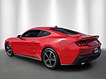Used 2024 FORD MUSTANG ECOBOOST PREMIUM FASTBACK in STUART, FLORIDA (Photo 3)
