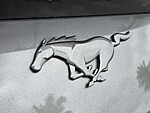 Used 2024 FORD MUSTANG ECOBOOST FASTBACK in STUART, FLORIDA (Photo 13)