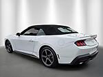 Used 2024 FORD MUSTANG ECOBOOST PREMIUM CONVERTIBLE in STUART, FLORIDA (Photo 31)