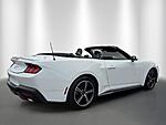 Used 2024 FORD MUSTANG ECOBOOST PREMIUM CONVERTIBLE in STUART, FLORIDA (Photo 5)