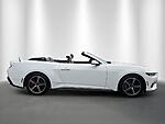 Used 2024 FORD MUSTANG ECOBOOST PREMIUM CONVERTIBLE in STUART, FLORIDA (Photo 6)