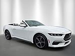 Used 2024 FORD MUSTANG ECOBOOST PREMIUM CONVERTIBLE in STUART, FLORIDA (Photo 7)