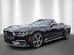 Used 2024 FORD MUSTANG ECOBOOST PREMIUM CONVERTIBLE in STUART, FLORIDA (Photo 1)