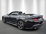 Used 2024 FORD MUSTANG ECOBOOST PREMIUM CONVERTIBLE in STUART, FLORIDA (Photo 3)