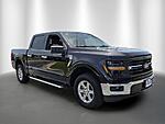 Used 2025 FORD F-150 XLT 4WD SUPERCREW 5.5' BOX in STUART, FLORIDA (Photo 7)