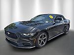Used 2024 FORD MUSTANG ECOBOOST CONVERTIBLE in STUART, FLORIDA (Photo 1)