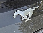Used 2024 FORD MUSTANG ECOBOOST CONVERTIBLE in STUART, FLORIDA (Photo 13)