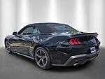 Used 2024 FORD MUSTANG ECOBOOST CONVERTIBLE in STUART, FLORIDA (Photo 3)