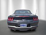Used 2024 FORD MUSTANG ECOBOOST CONVERTIBLE in STUART, FLORIDA (Photo 4)