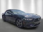 Used 2024 FORD MUSTANG ECOBOOST CONVERTIBLE in STUART, FLORIDA (Photo 7)