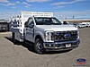New 2025 FORD F-350 XL in HENDERSON , NEVADA