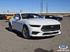 New 2026 FORD MUSTANG ECOBOOST in HENDERSON , NEVADA