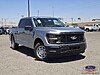 New 2026 FORD F-150 XL in HENDERSON , NEVADA