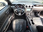 Used 2019 FORD MUSTANG ECOBOOST FASTBACK in STUART, FLORIDA (Photo 6)