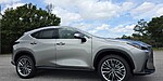 New 2026 LEXUS NX 350H LUXURY in FORT PIERCE, FLORIDA