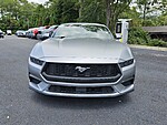 New 2025 FORD MUSTANG ECOBOOST in DUBLIN, GEORGIA (Photo 2)
