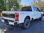 New 2026 FORD F-250 PLATINUM in DUBLIN, GEORGIA (Photo 13)