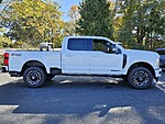 New 2026 FORD F-250 PLATINUM in DUBLIN, GEORGIA (Photo 14)