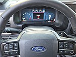 New 2025 FORD F-150 PLATINUM in DUBLIN, GEORGIA (Photo 24)