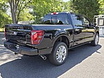 New 2026 FORD F-150 PLATINUM in DUBLIN, GEORGIA (Photo 14)