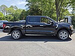 New 2026 FORD F-150 PLATINUM in DUBLIN, GEORGIA (Photo 15)