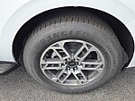 New 2026 FORD EXPEDITION ACTIVE in DUBLIN, GEORGIA (Photo 19)