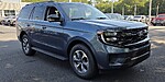 New 2027 FORD EXPEDITION ACTIVE in DUBLIN, GEORGIA