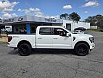 Used 2025 FORD F-150 PLATINUM in UNADILLA, GEORGIA (Photo 13)