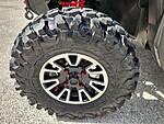 Used 2019 Honda Others SXS10-3 LIMITED in DAVIE, FLORIDA (Photo 9)