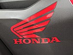 New 2024 Honda Fourtrax Foreman? Rubicon 4X4 in DAVIE, FLORIDA (Photo 21)