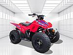 New 2024 Honda Trx? 90  in DAVIE, FLORIDA (Photo 6)
