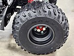 New 2024 Honda Others TRX250X in DAVIE, FLORIDA (Photo 10)