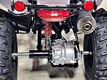 New 2024 Honda Others TRX250X in DAVIE, FLORIDA (Photo 11)