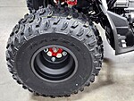 New 2024 Honda Others TRX250X in DAVIE, FLORIDA (Photo 13)