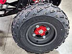 New 2024 Honda Others TRX250X in DAVIE, FLORIDA (Photo 15)