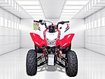 New 2024 Honda Others TRX250X in DAVIE, FLORIDA (Photo 3)