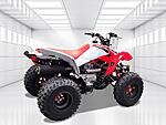 New 2024 Honda Others TRX250X in DAVIE, FLORIDA (Photo 4)