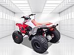 New 2024 Honda Others TRX250X in DAVIE, FLORIDA (Photo 5)