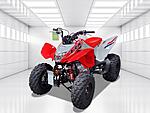 New 2024 Honda Others TRX250X in DAVIE, FLORIDA (Photo 6)