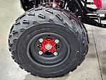 New 2024 Honda Others TRX250X in DAVIE, FLORIDA (Photo 8)