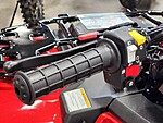 New 2025 Honda Others TRX420FM1 in DAVIE, FLORIDA (Photo 19)