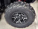 New 2024 Honda Others TRX520FA7 in DAVIE, FLORIDA (Photo 7)