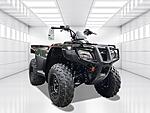 New 2024 Honda Others TRX250TE in DAVIE, FLORIDA (Photo 6)