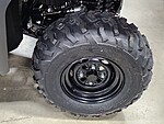 New 2025 Honda Others TRX420FA6 in DAVIE, FLORIDA (Photo 10)