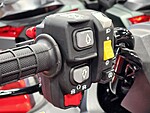 New 2025 Honda Others TRX420FA6 in DAVIE, FLORIDA (Photo 19)